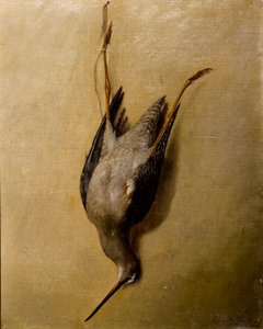 Naturaleza muerta